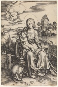 Maria mit der Meerkatze von Albrecht Dürer
