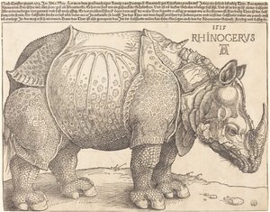 Das Nashorn