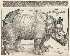 Das Nashorn