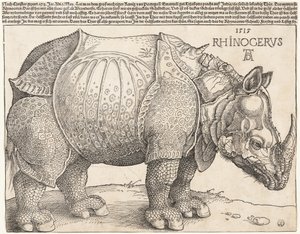 Das Nashorn von Albrecht Dürer