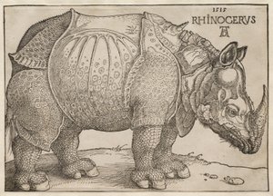 Das Rhinozeros von Albrecht Dürer