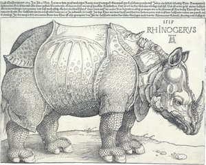 Das Nashorn, 1515