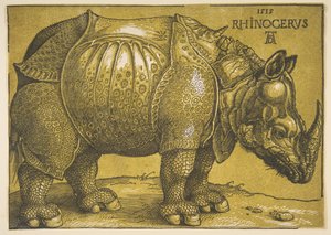 Das Nashorn, nach 1620