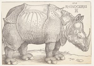 Das Nashorn