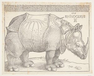 Das Nashorn von Albrecht Dürer