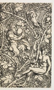 Zwei Entwürfe für Wandteppiche mit Satyrfamilie von Albrecht Dürer