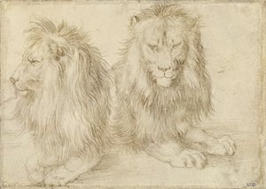Zwei sitzende Löwen von Albrecht Dürer
