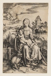 Maria mit der Meerkatze von Albrecht Dürer