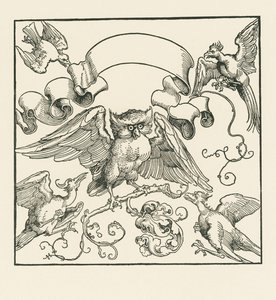 Eine Eule wird von vier anderen Vögeln angegriffen von Albrecht Dürer or Duerer