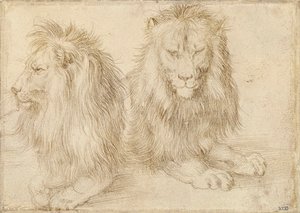 Zwei sitzende Löwen von Albrecht Dürer