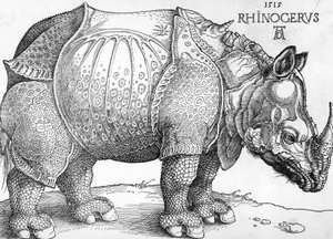 Nashorn