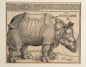 Das Nashorn von Albrecht Dürer or Duerer