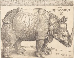 Das Nashorn