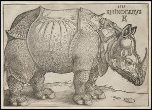 Das Nashorn, 1515