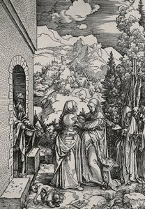 Die Heimsuchung