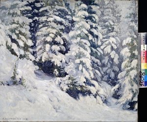 Wald im Winter