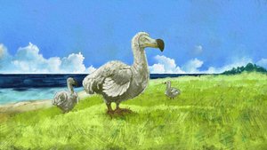 Darstellung des ausgestorbenen Dodo-Vogels (Illustration)