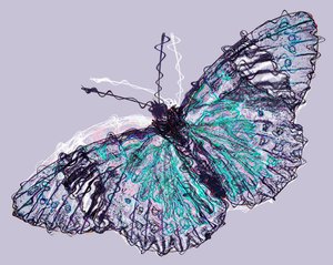 Schmetterling 7, 2020