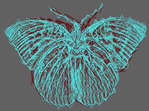 Schmetterling 8, 2020