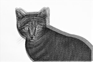 Elektrische Katze, 2019