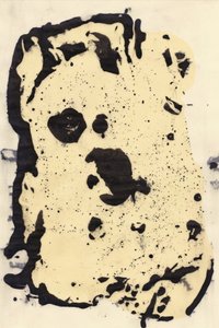 Koala von Alexander Adiels