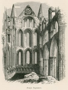Whitby Abbey, Nordquerhaus von Alexander Francis Lydon