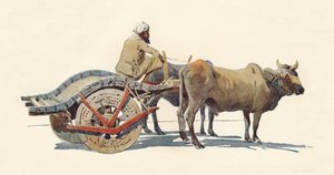 Ein Ochsenkarren, Jodhpur, um 1880 1905 von Alexander Henry Hallam Murray