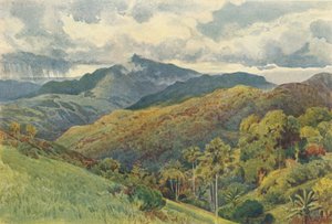 Die Berge von Pallekelly, ca. 1880