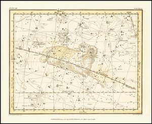 1822 - Alexander Jamieson - Widder