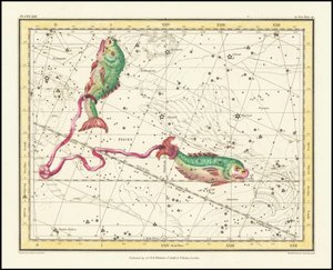 1822 - Alexander Jamieson - Fische