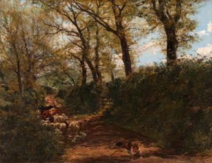 Frühlingssonnenschein: Ein Weg in der Nähe von Melrose