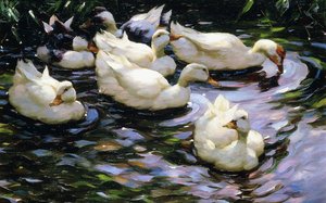 Enten schwimmen in einem sonnenbeschienenen See von Alexander Koester