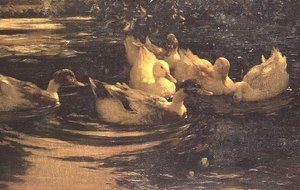Enten auf einem Teich
