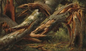 Gefallener Baum