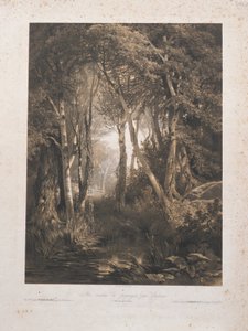 Landschaft