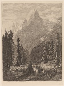 Bergwiese
