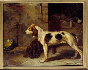 Hunde Brifauts