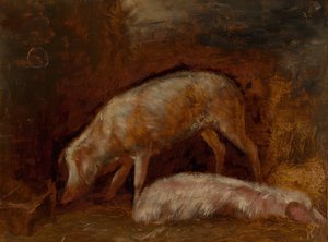 Studie von Schweinen, 1850-60