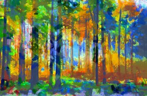 Wald, 2020