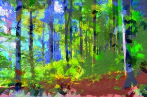 Morgen, Wald, 2020
