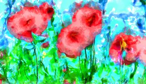 Mohnblumen und Wolken, 2020
