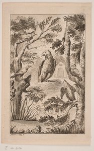 Der Adler und eine Versammlung von Vögeln