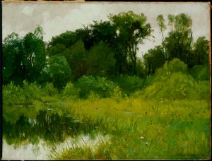 Nach dem Regen, am Minnehaha Creek
