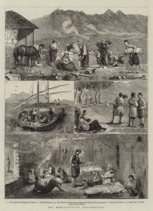 Der Herzegowinische Aufstand von Alfred Chantrey Corbould