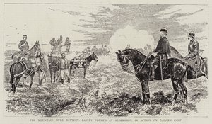Die Gebirgs-Maultierbatterie, kürzlich in Aldershot gebildet, im Einsatz auf Caesars Lager von Alfred Chantrey Corbould