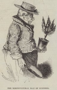Der gärtnerische Geschäftsmann von Alfred Crowquill