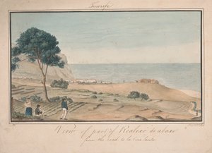 Blick auf einen Teil von Realesco de abasco von der Straße nach la Cruz Santa von Alfred Diston