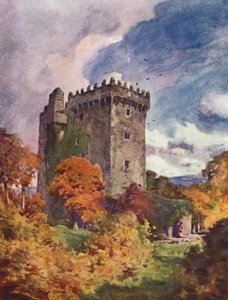 Blarney Castle
