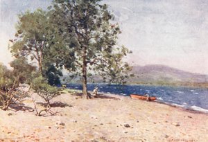 Lake District: Bassenthwaite Lake, ein windiger Morgen von Alfred Heaton Cooper