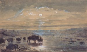Nachtszene, Büffel auf der Prärie, ca. 1837 von Alfred Jacob Miller